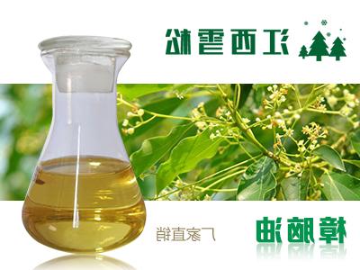 Camphor oil