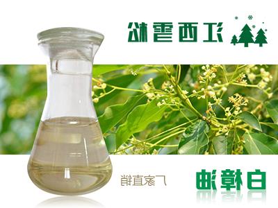 White camphor oil